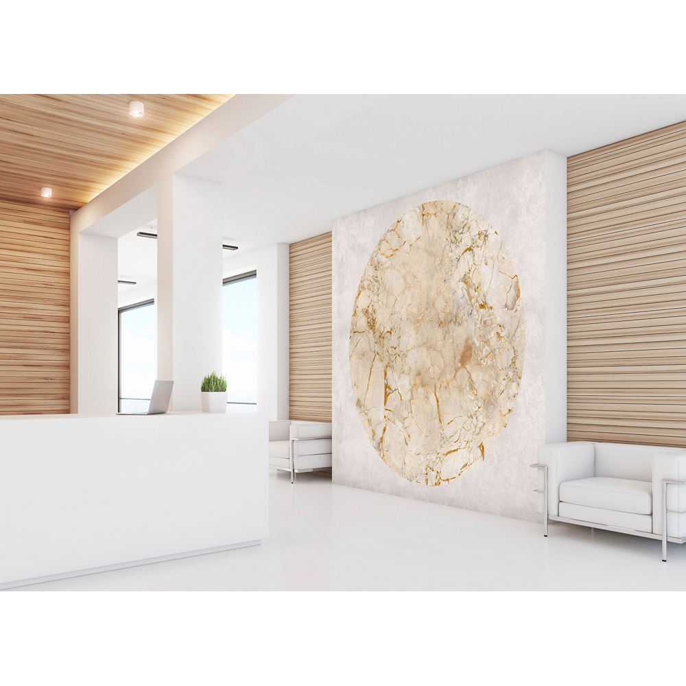 A.S Creation Venus Digital Mural Image 3