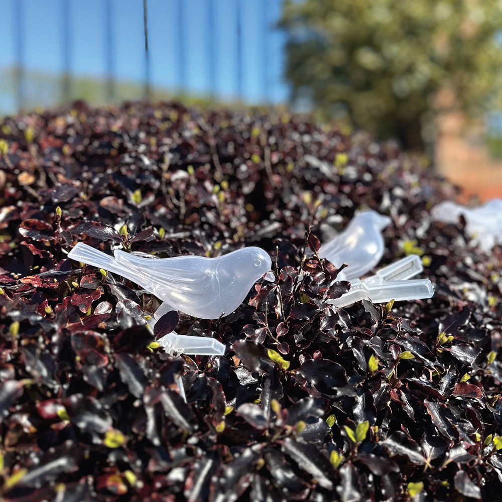 Gardenkraft Solar Acrylic Birds String Lights 10 Pack Image 3