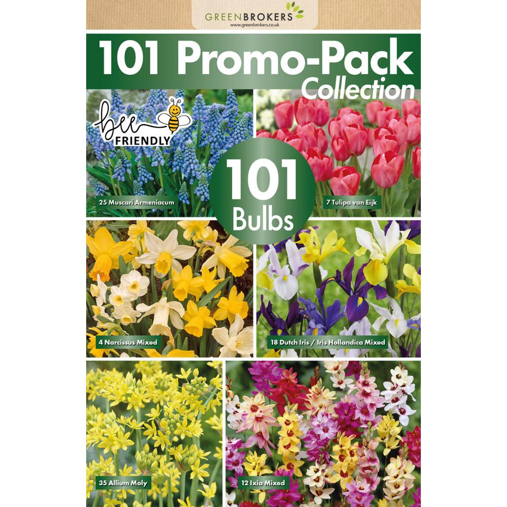 GreenBrokers Dutch Big Buy Bee Friendly Mixed Spring Bulb 101 Pack Image 2