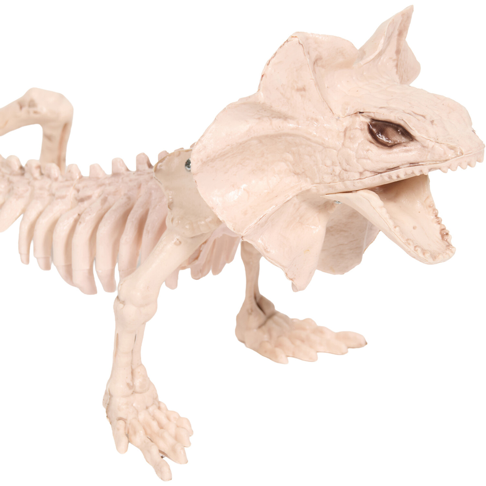 Skeleton Lizard Decoration Neutral Image 5