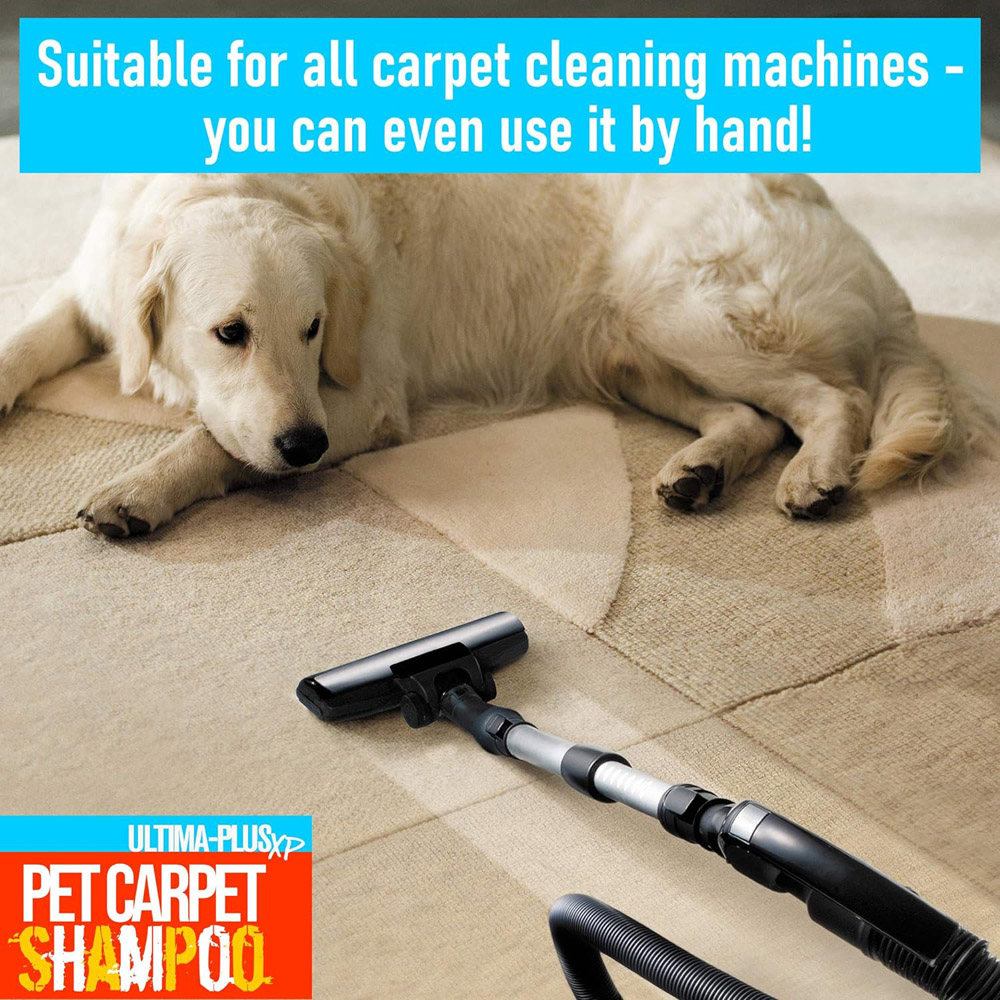 Ultima Plus XP Pet Carpet Shampoo 5L Image 4