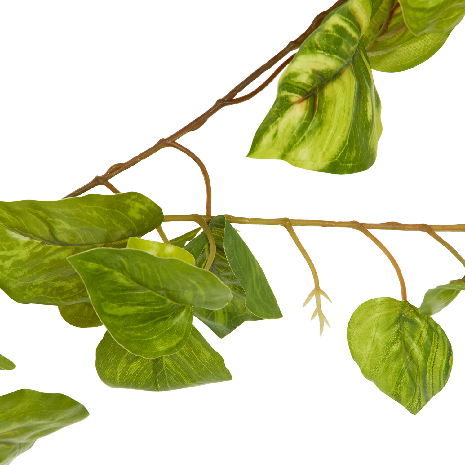 Pothos Garland - Green Image 5