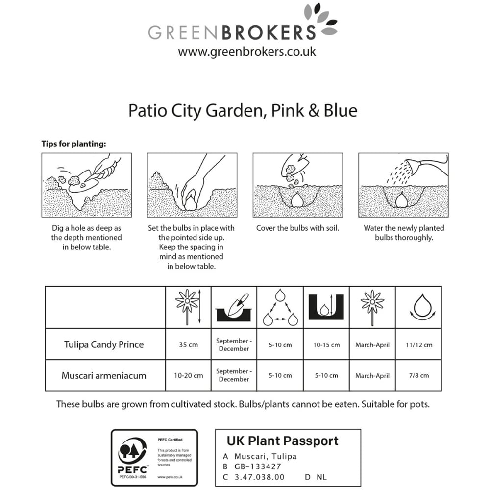 GreenBrokers Pink and Blue Balcony and Patio Mixed Planter Bulb 40 Pack Image 3