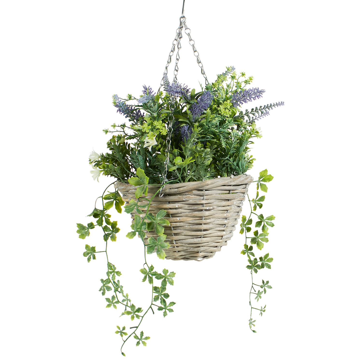 Lavender Hanging Basket - Purple and Green Image 2
