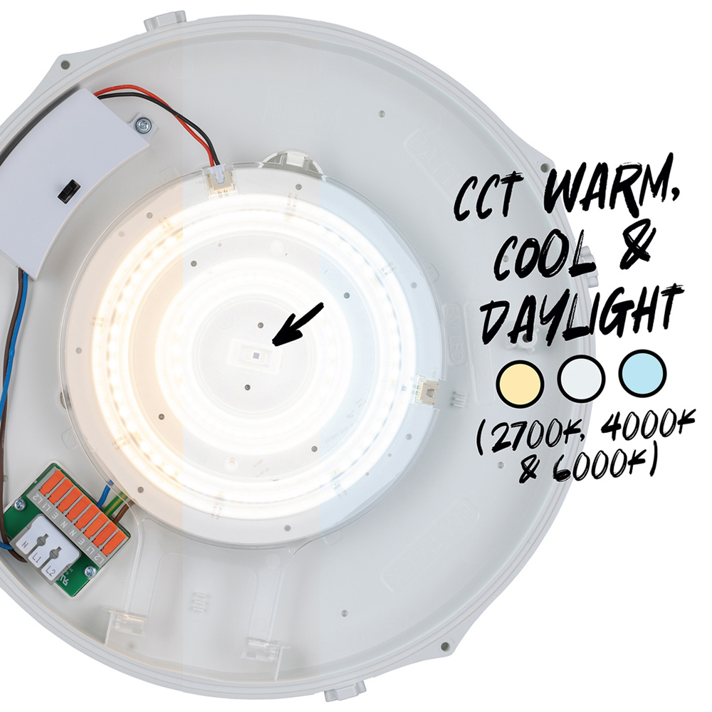 TCP Bulkhead Wall and Ceiling Light Image 4