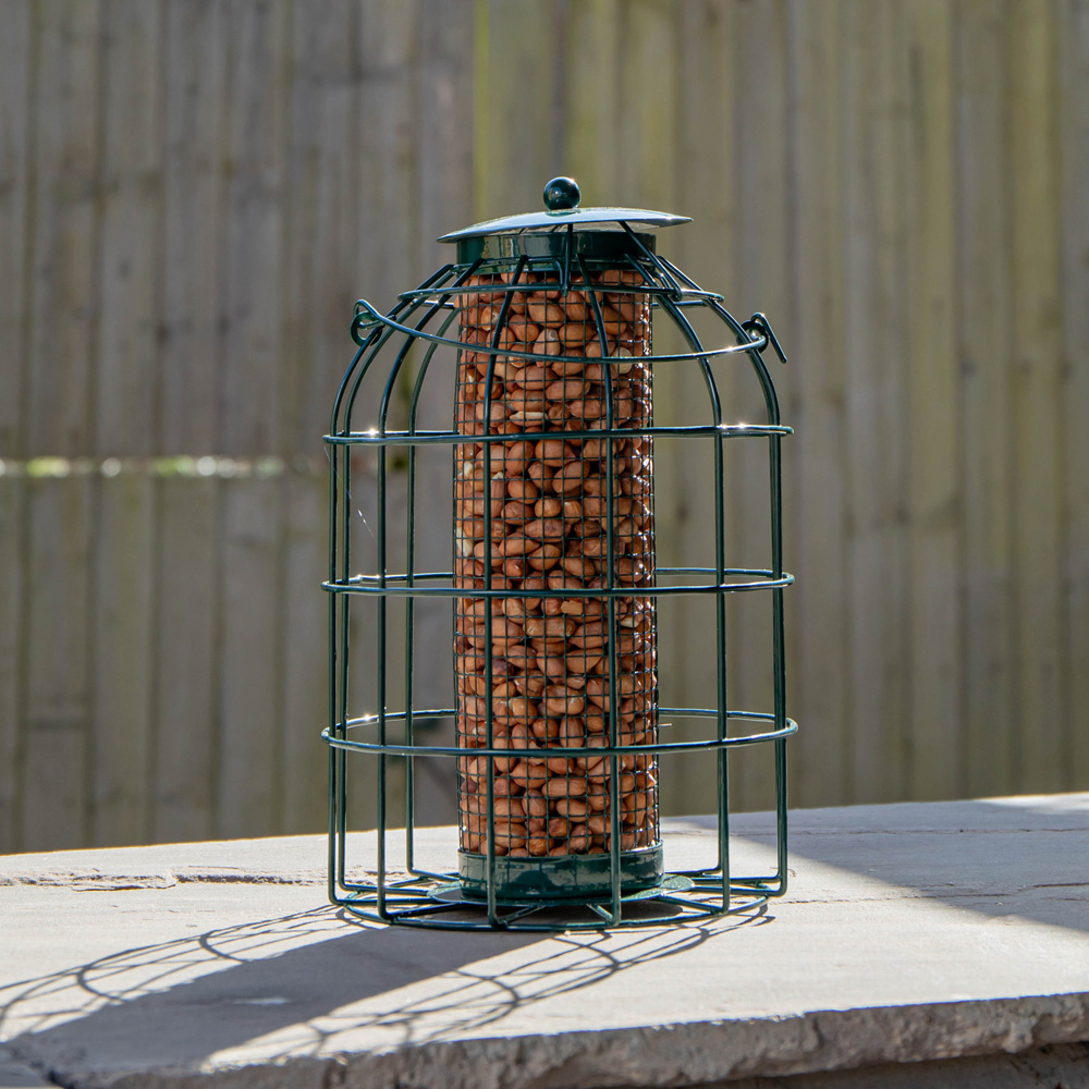 Samuel Alexander Metal Hanging Bird Nut Feeder with Squirrel Guard 3 Pack and 1kg Nut Feed Image 4