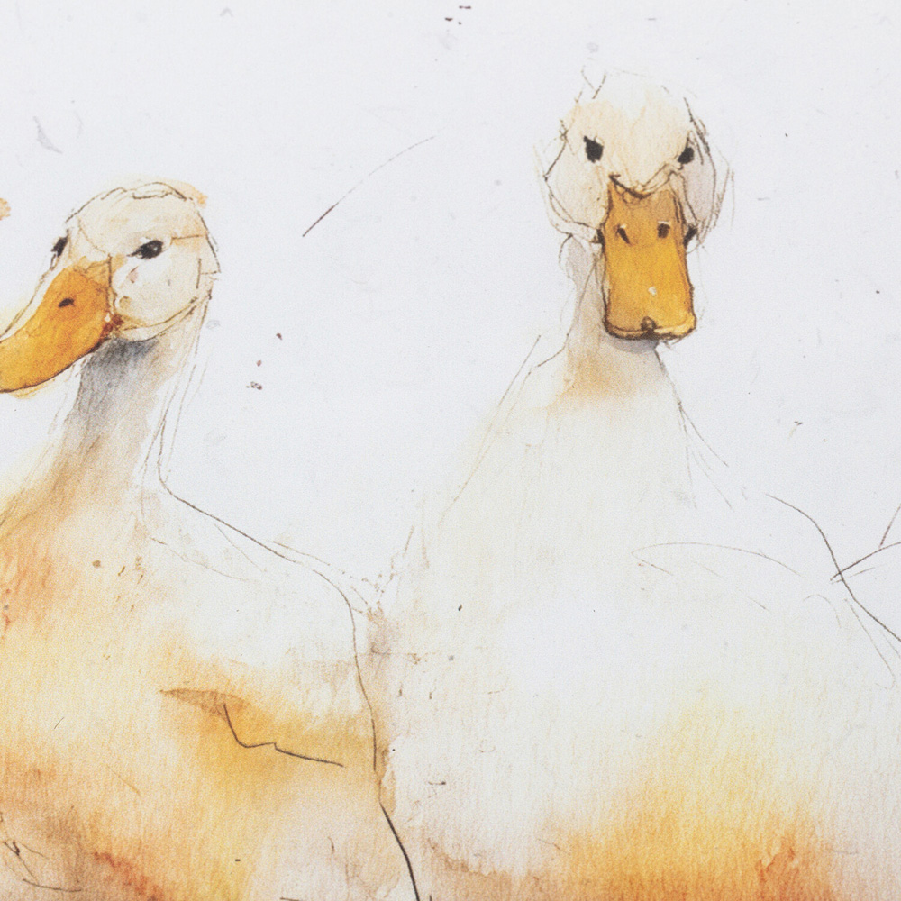 Ducks in Wellies Framed Print Image 4
