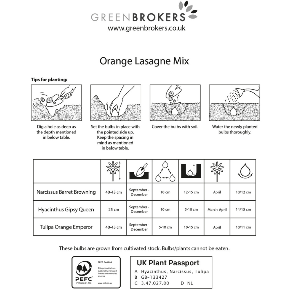 GreenBrokers Orange Lasagne Bee Friendly Mixed Planting Bulb 25 Pack Image 3