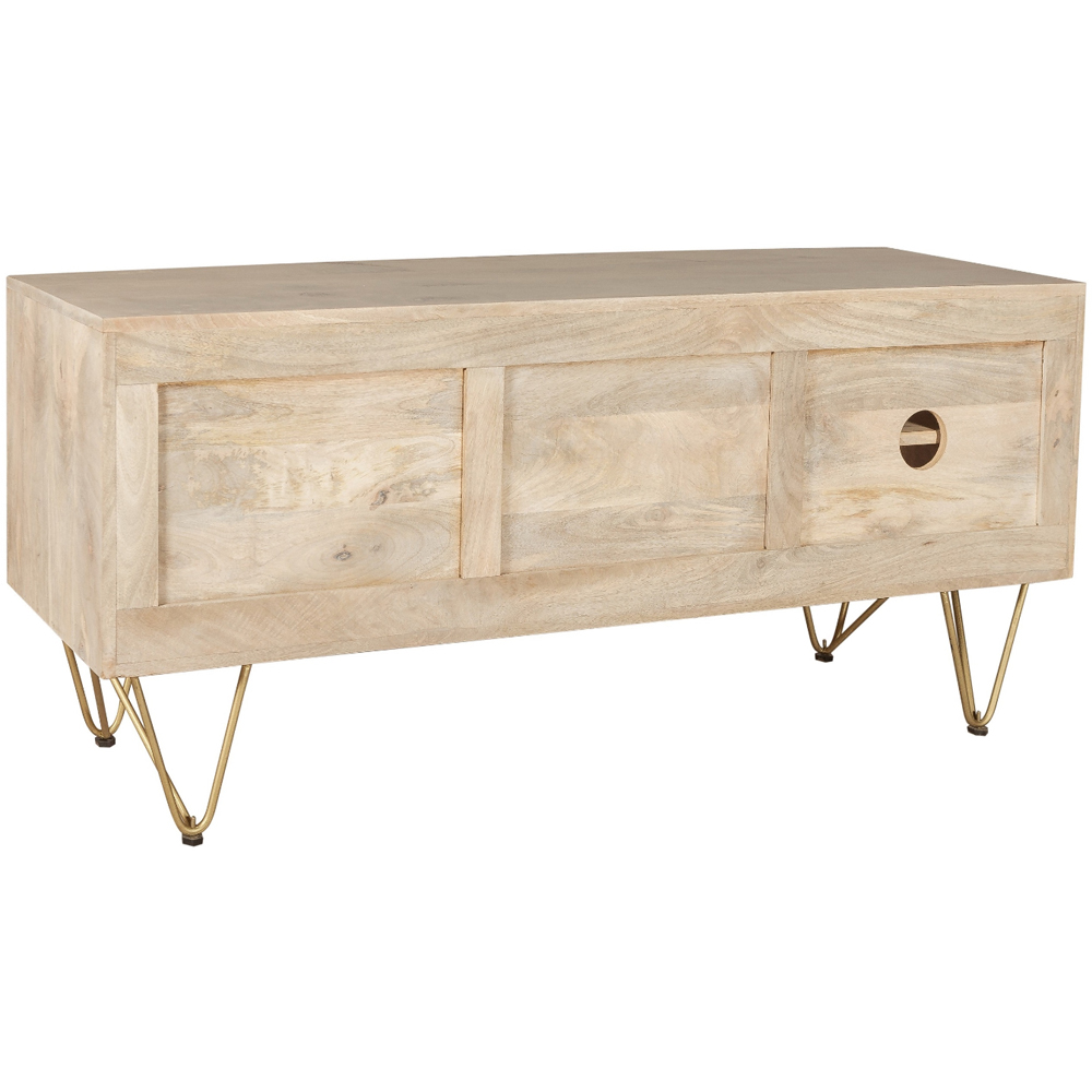 Brooklyn Huyen 2 Door 2 Shelf Light Gold Plasma TV Unit Image 5