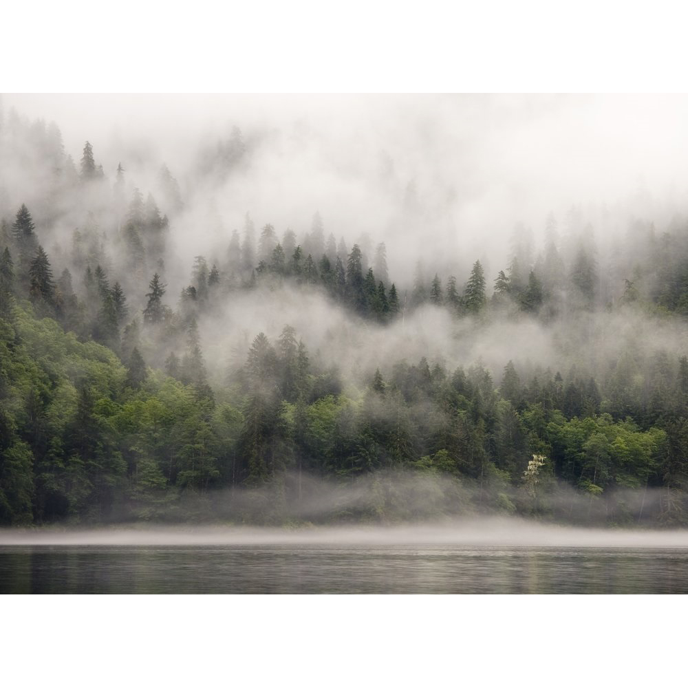 A.S Creation Fjordlands Digital Mural Image 2