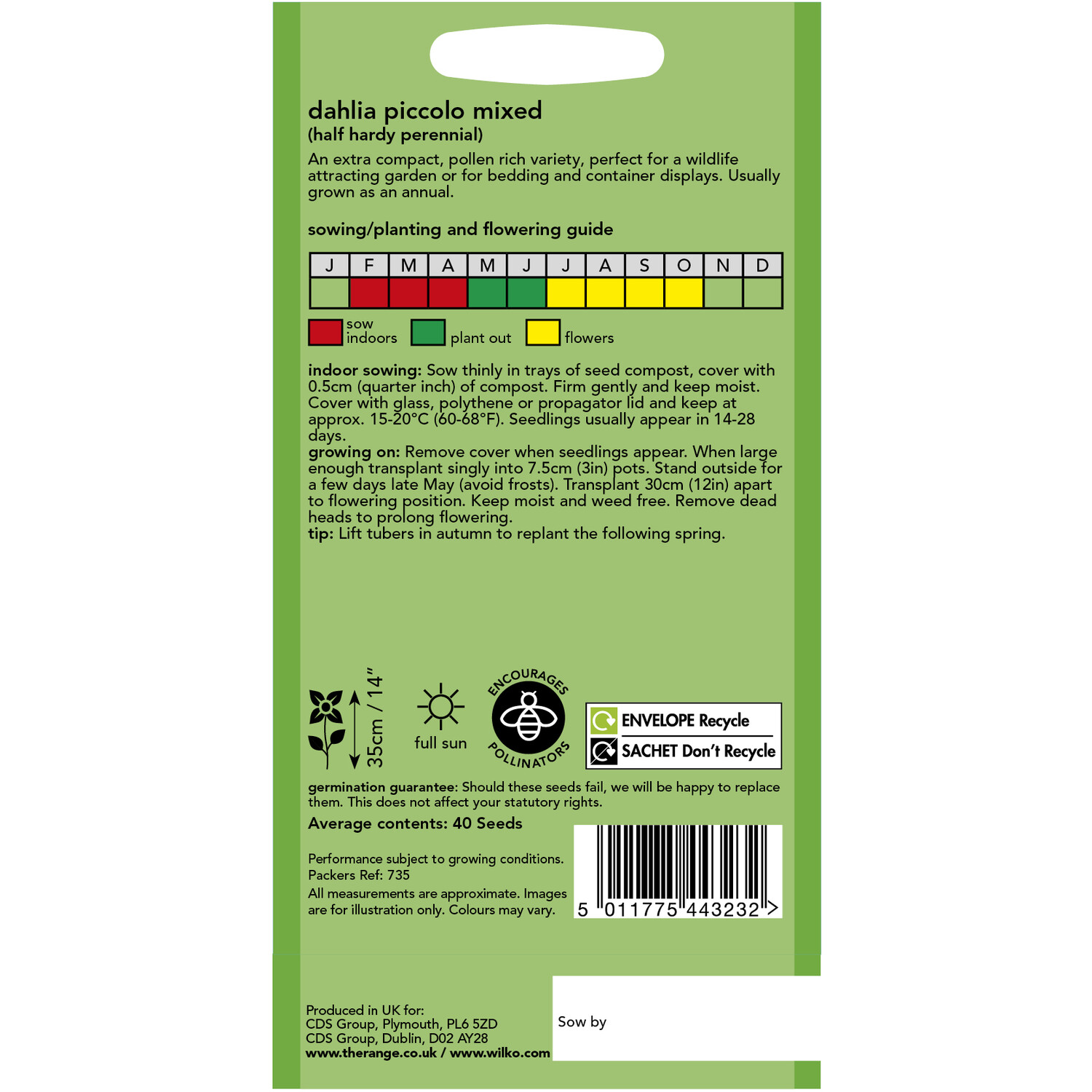 Wilko Mixed Piccolo Dahlia Seeds Image 2