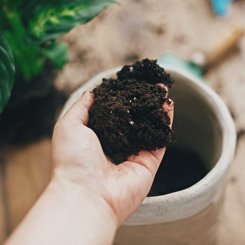 Thompson & Morgan Incredicompost Houseplant Peat Free Bag 25L Image 6