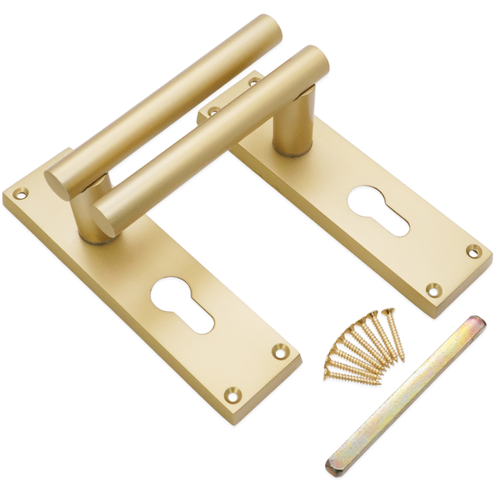 Spira Brass Jura Satin Brass Lever on Backplate Door Handle with Euro Keyhole 2 Pack Image 3