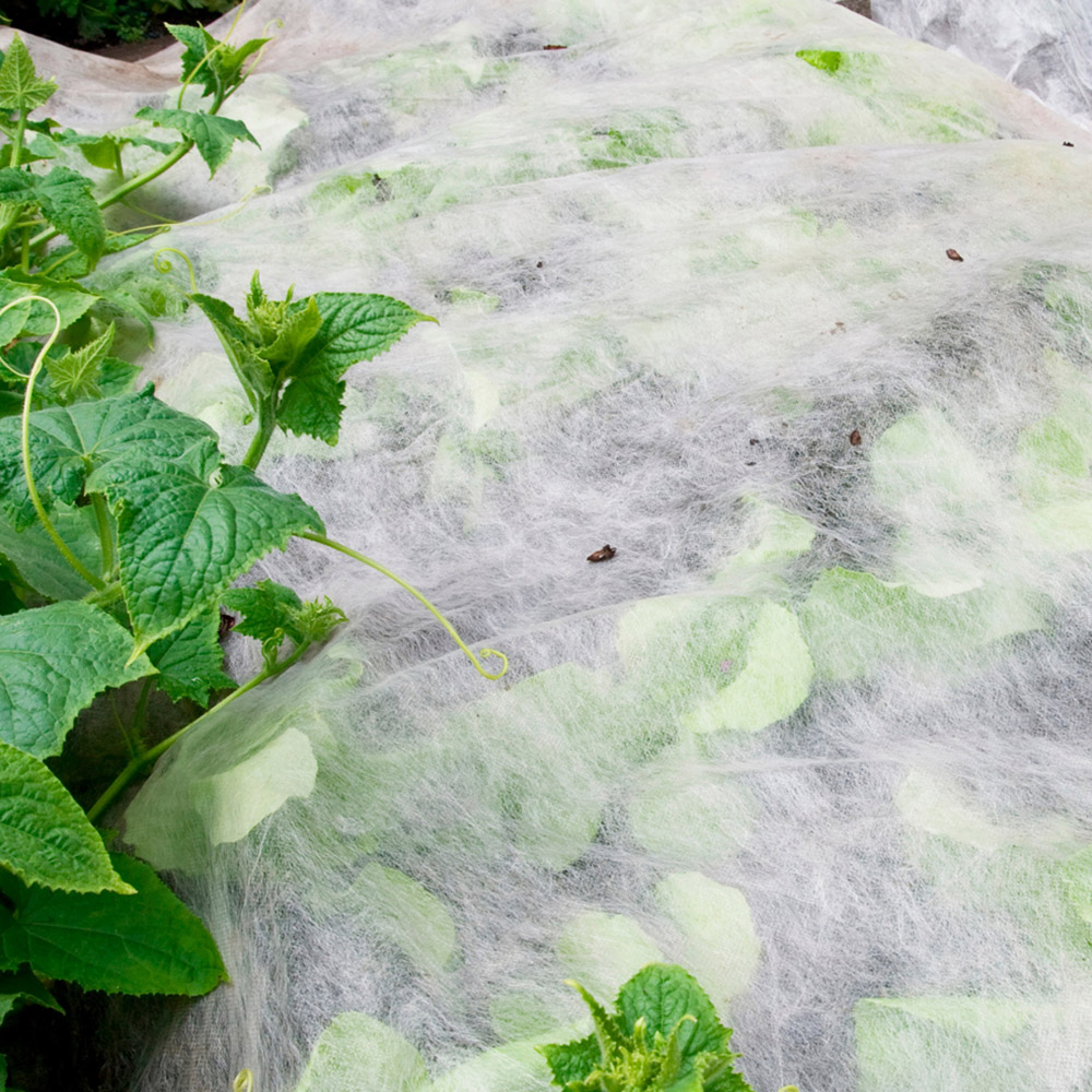 YouGarden Frost Protection Fleece 15 x 1m Image 3