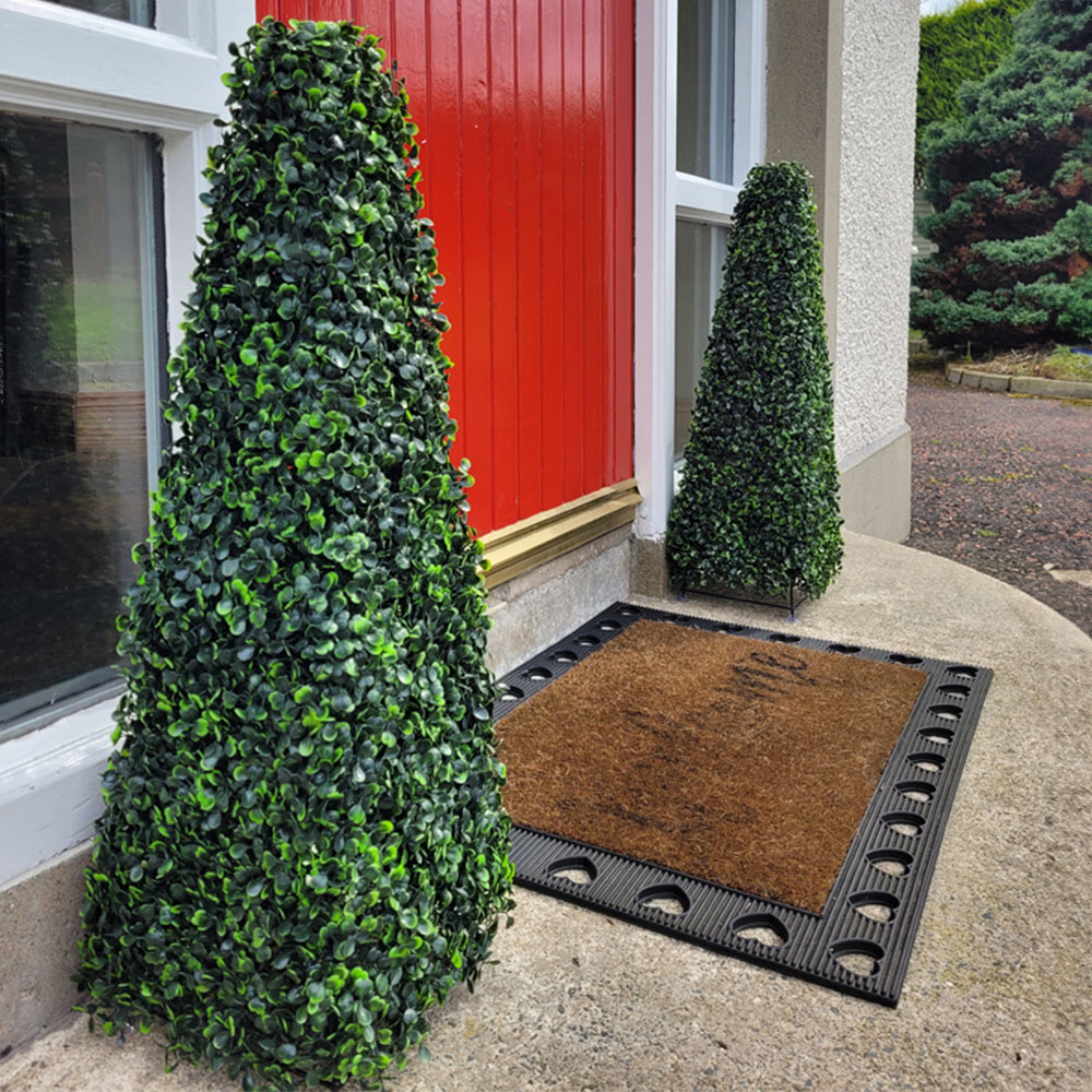 2ft Boxwood Pyramid Tree Image 2