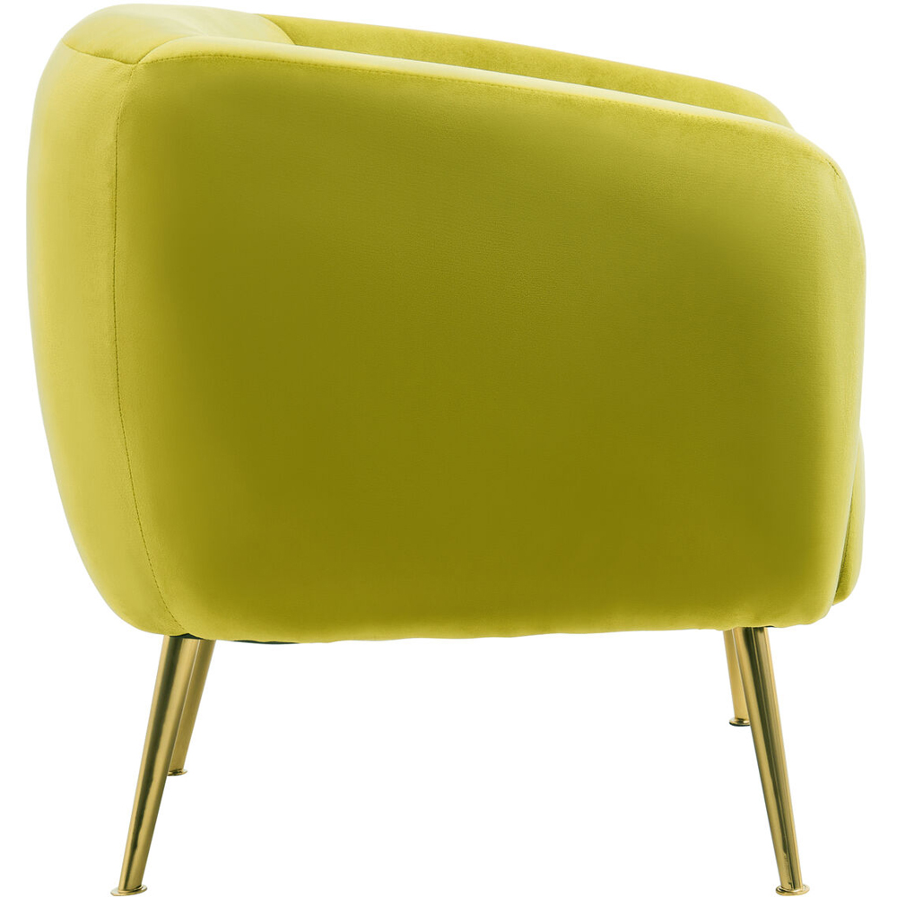 Premier Housewares Yasmeen Olive Velvet Armchair Image 5