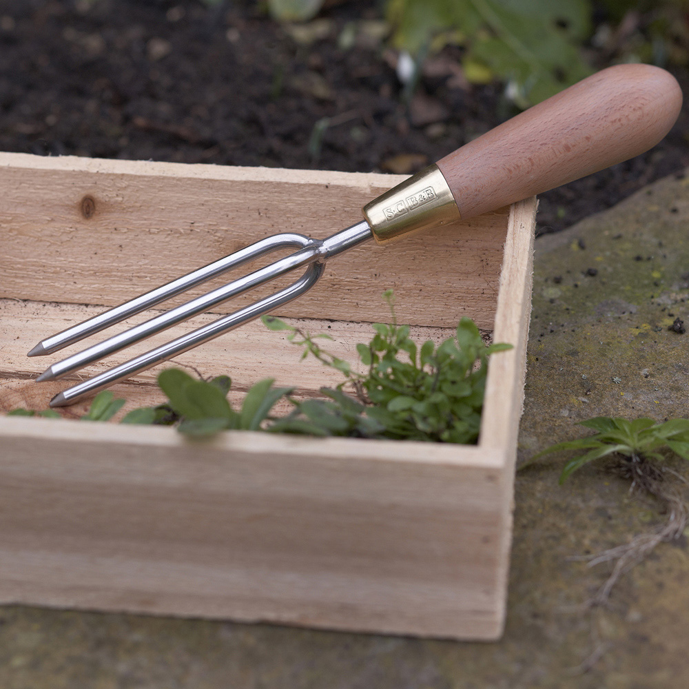 Sophie Conran Stainless Steel Garden Weeder with Beech Wood Handle in Gift Box Image 2