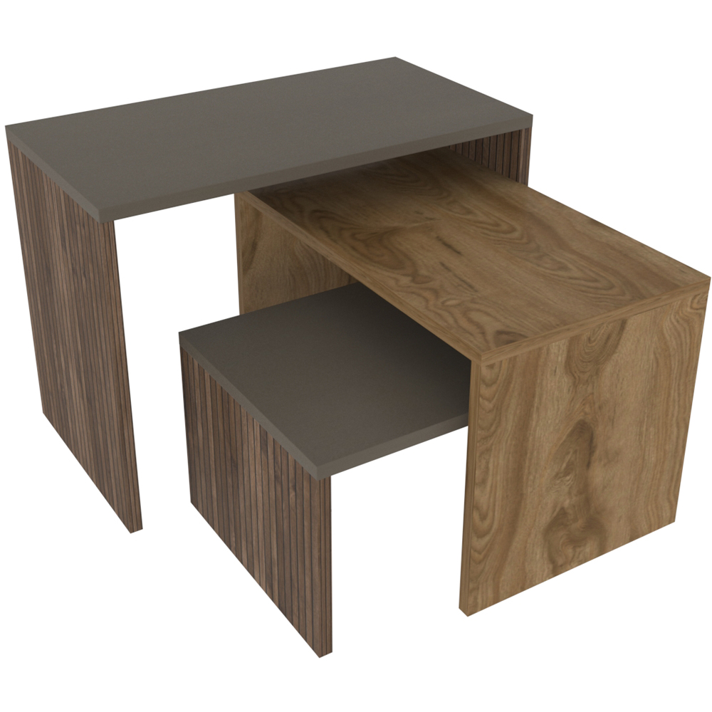 Decorotika Andro Galaxy Alina Nest of Tables Set of 3 Image 3