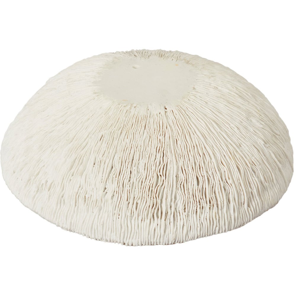 Sofia Textured Bowl - White Image 4