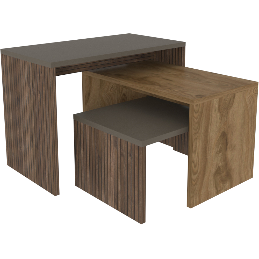 Decorotika Andro Galaxy Alina Nest of Tables Set of 3 Image 2