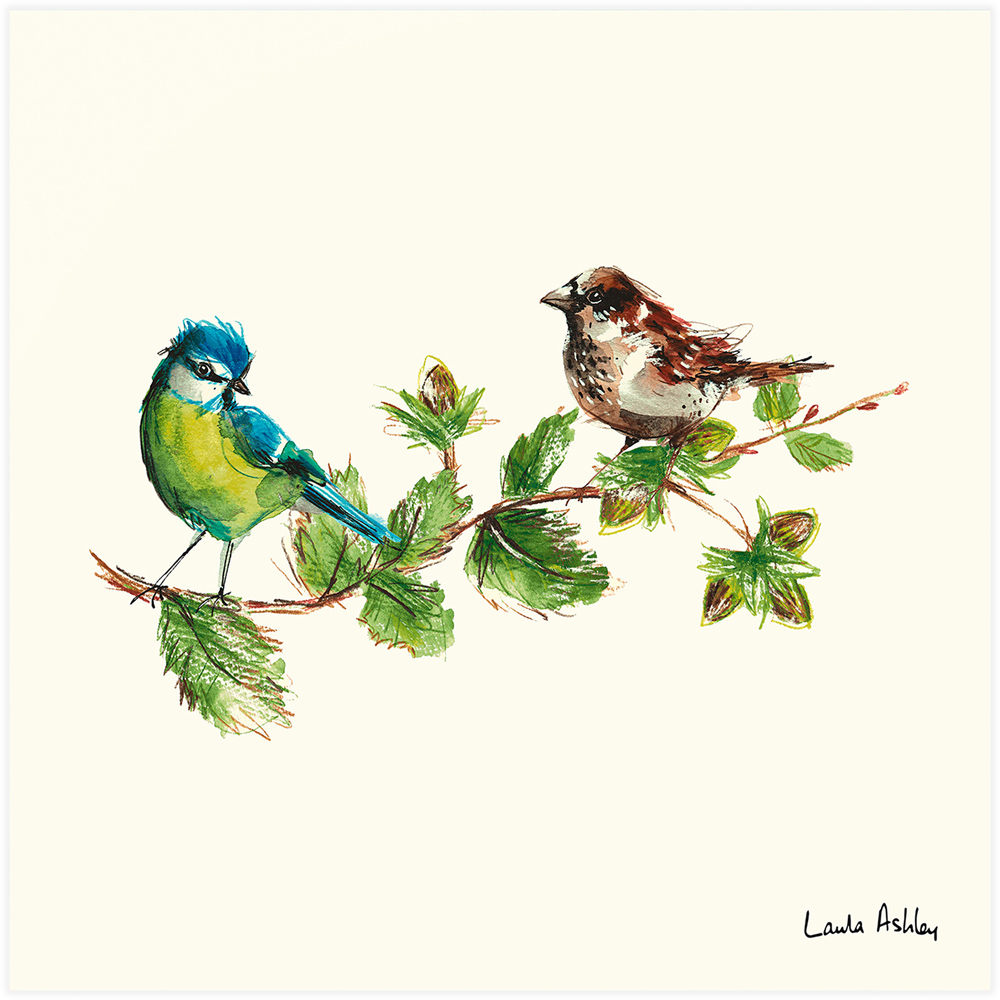 Laura Ashley Sparrow and Blue Tit Bird Wooden Frame Wall Art 50 x 50cmcm Image 4