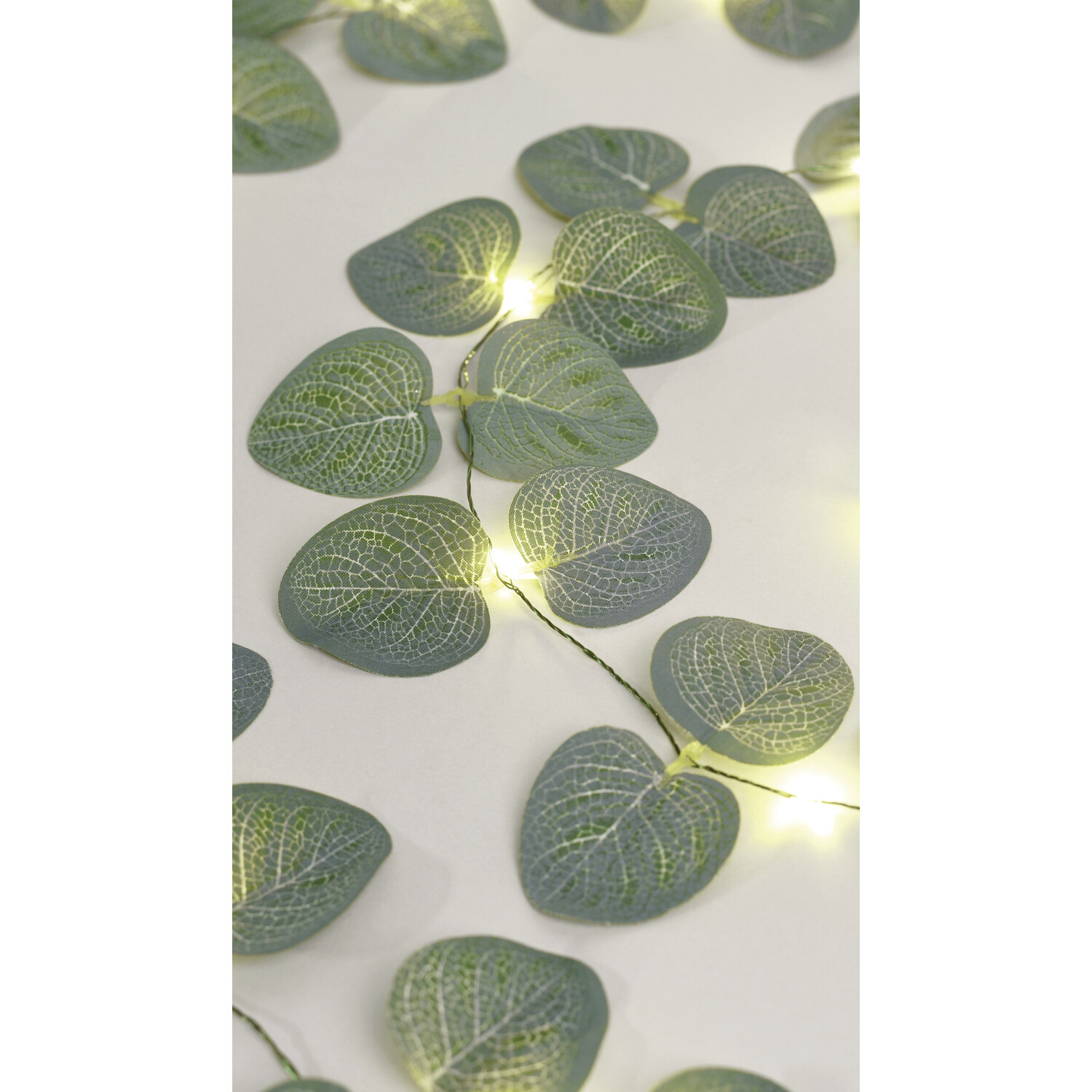 Eucalyptus 20 Warm White LED String Light Image 2