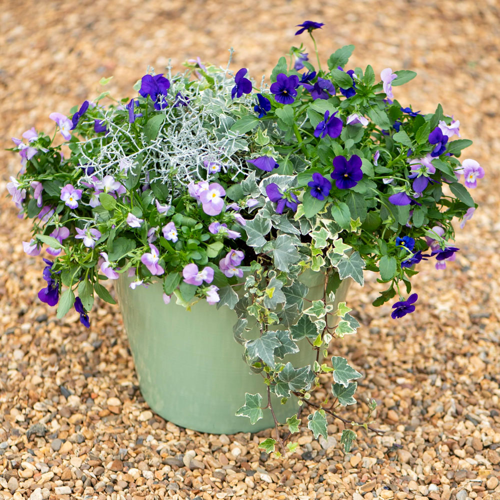 Thompson and Morgan Lindos Sage Green Glazed Effect Planter 25.5cm 2 Pack Image 2