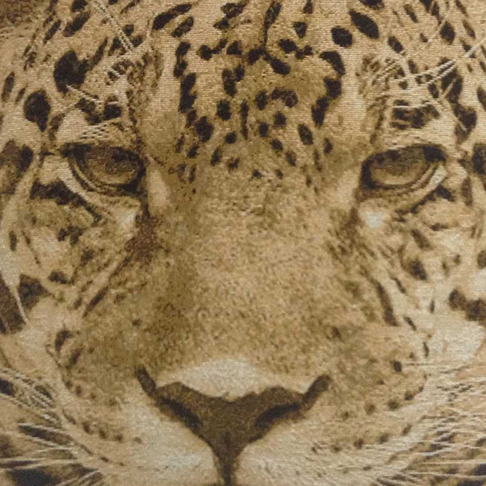 Intimates Leopard Fur Trim Filled Cushion 43 x 43cm 2 Pack Image 2