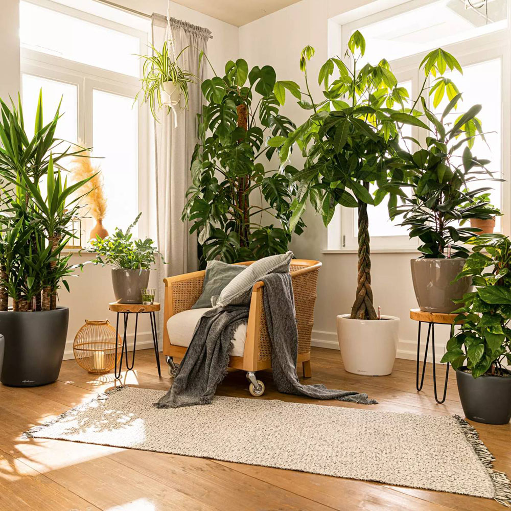 Lechuza Classico 43 LS White Poly-Resin Self-Watering Planter 40cm Image 4