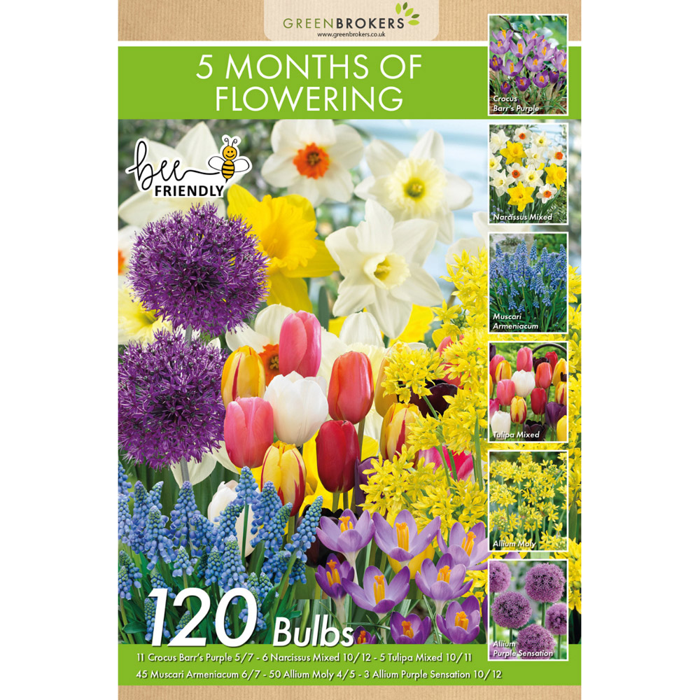 GreenBrokers Dutch Flowering 5 Month Mixed Planting Bulb 120 Pack Image 2