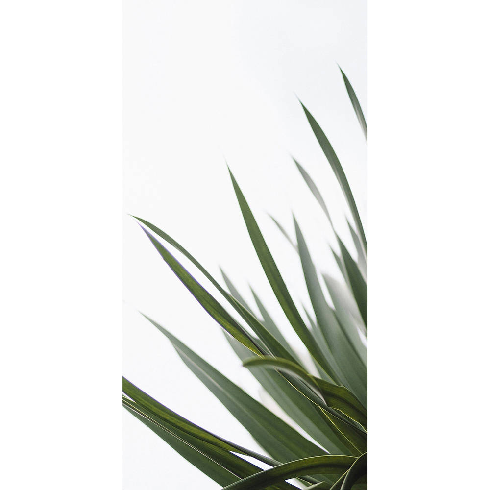 Mirrorstone Nexus 700W Minimal Leaf Wi-Fi Infrared Heating Panel 595 x 1195mm Image 4