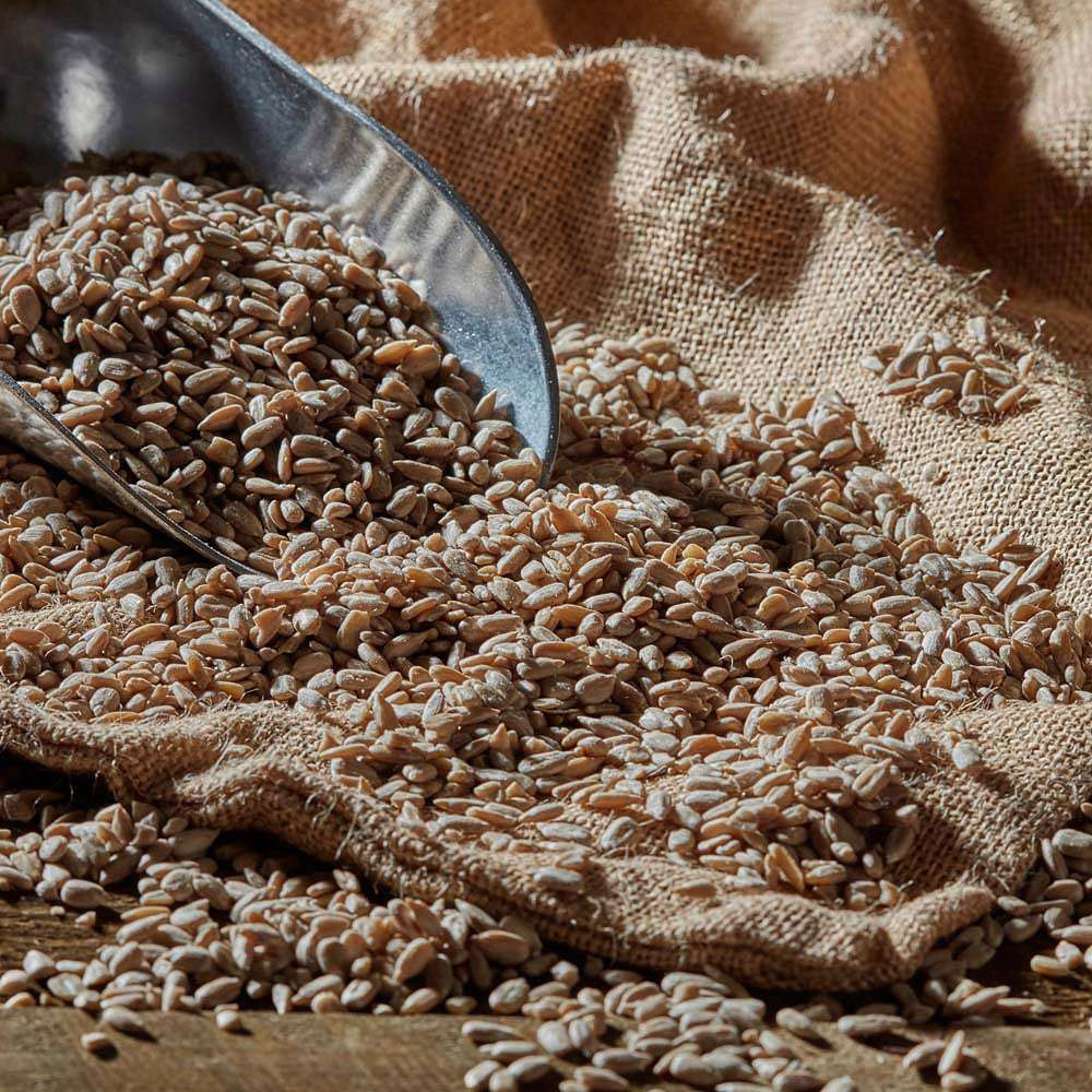 Happy Beaks Sunflower Hearts Bird Food 25.5kg Image 4