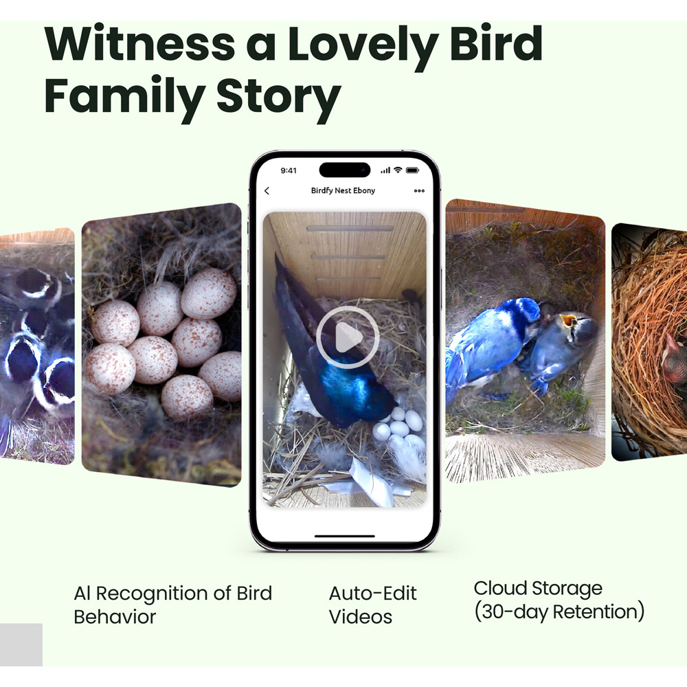 Birdfy Ebony Lite Smart Waterproof Bird House with 1080p FHD AI Camera Image 6