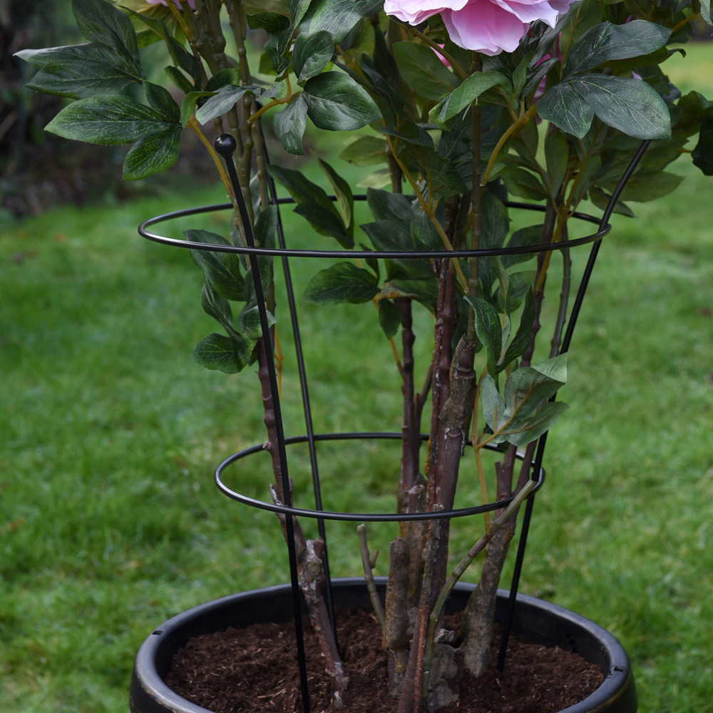 Garden Gear Peony or Herbaceous Extra Large Plant Frame 66 x 42cm 3 Pack Image 2