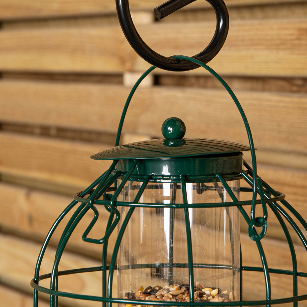 Samuel Alexander Metal Hanging Bird Seed Feeder with Squirrel Guard 3 Pack and 1kg Seed Feed Image 6