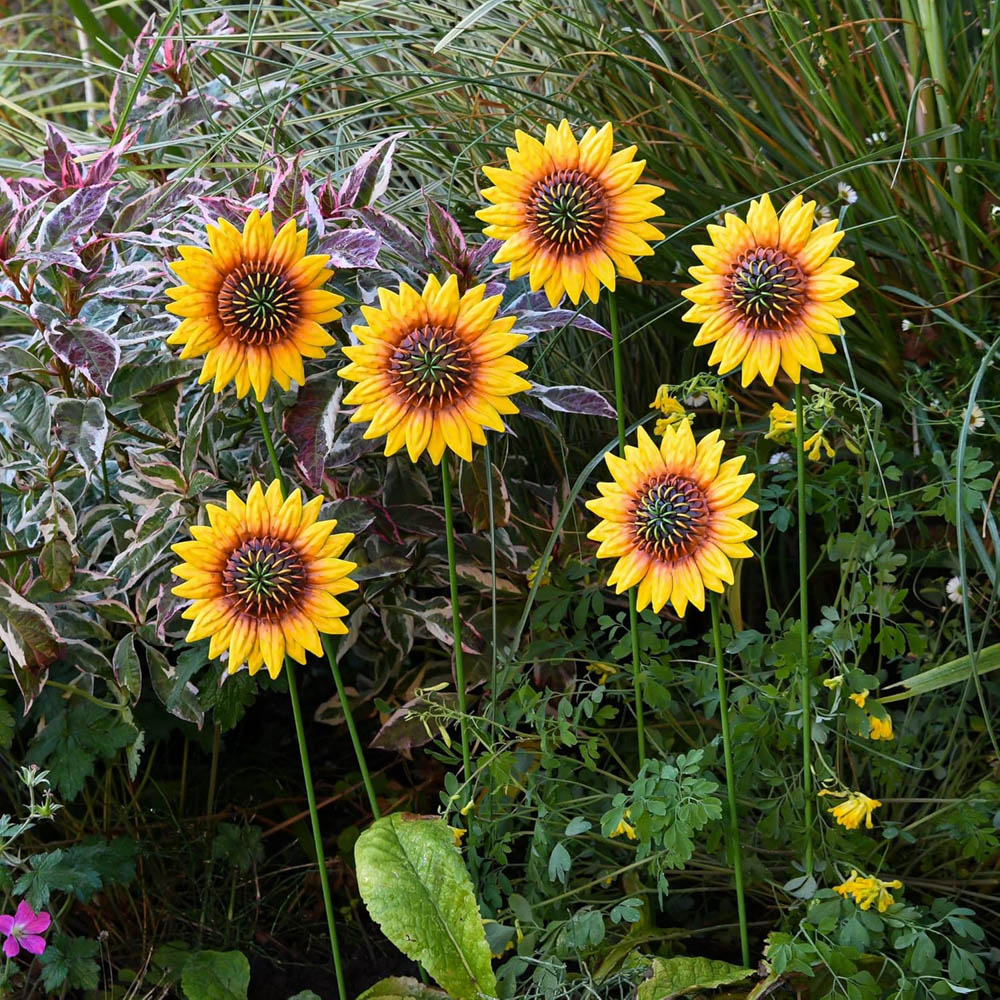 Garden Gear Metal Sunflower Stake 57cm 12 Pack Image 2