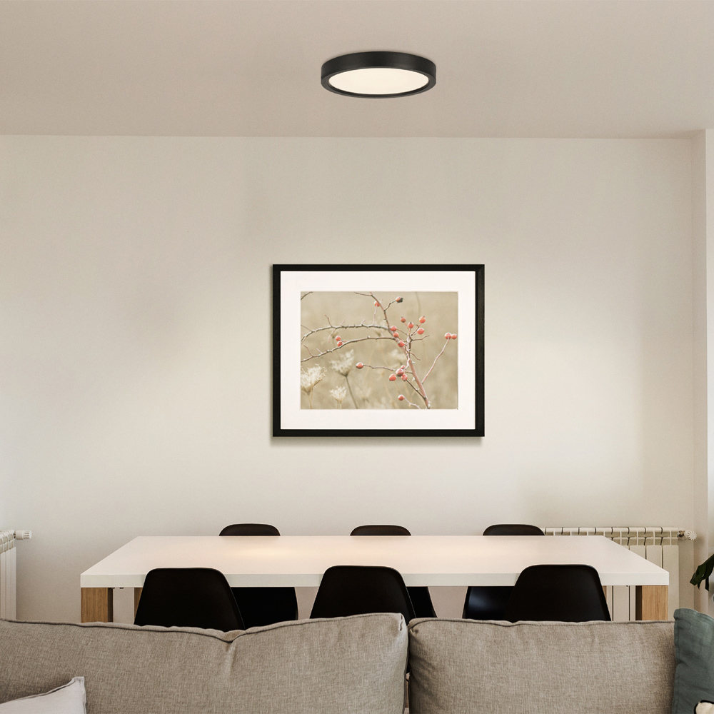 EGLO Idun-E LED Black Ceiling Light Image 2