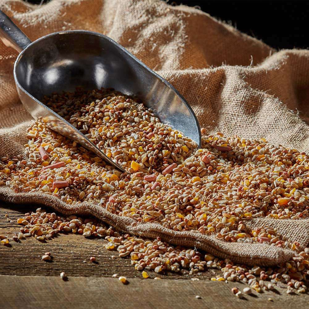 Happy Beak Robin and Songbird No Mess Wild Bird Seed Mix 28kg Image 4