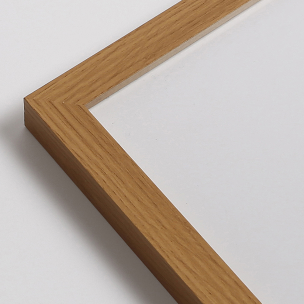 Laura Ashley Sparrow and Blue Tit Bird Wooden Frame Wall Art 50 x 50cmcm Image 3