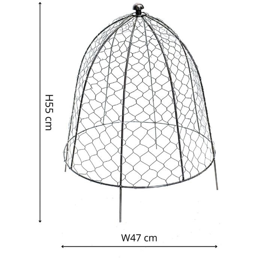 Ivyline Zinc Wire Netted Garden Plant Protector 55 x 47cm Image 3