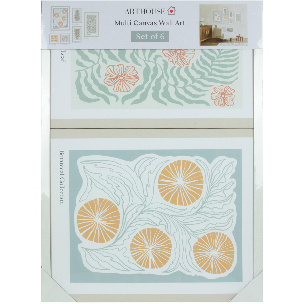 Arthouse 6-in-1 Abstract Botanicals Canvas Set Image 3