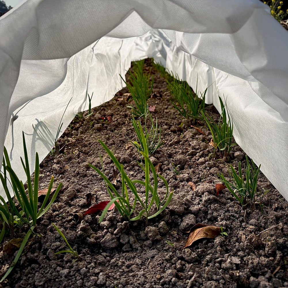 Garden Gear Fleece Greenhouse Tunnel 3 Pack Image 6