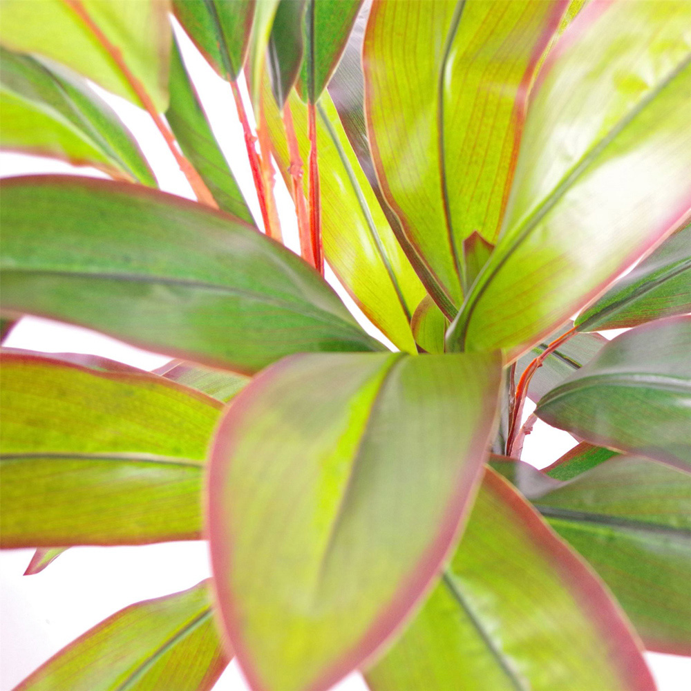 Leaf Dracaena Artificial Plant in Pot 100cm Image 2