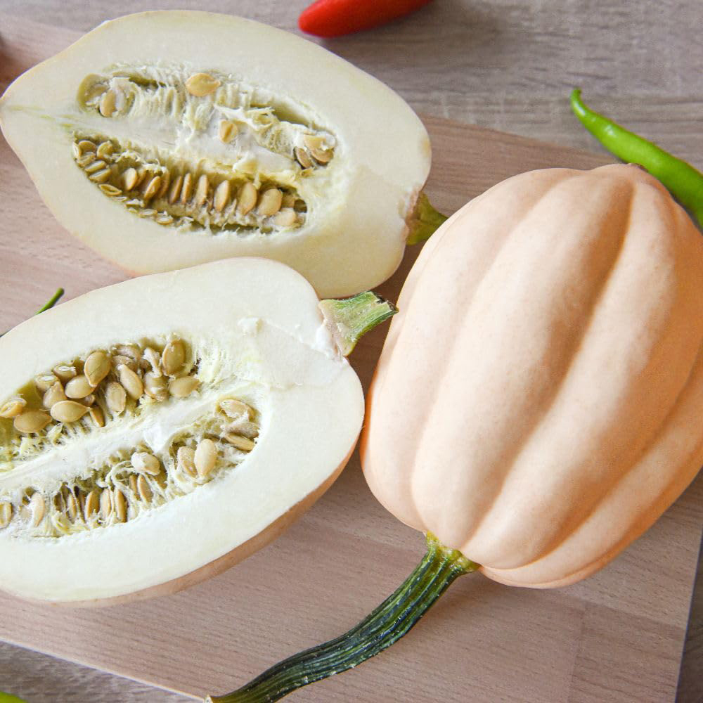 Thompson and Morgan Squash Mashed and Baked Potato Seed Packet Image 2