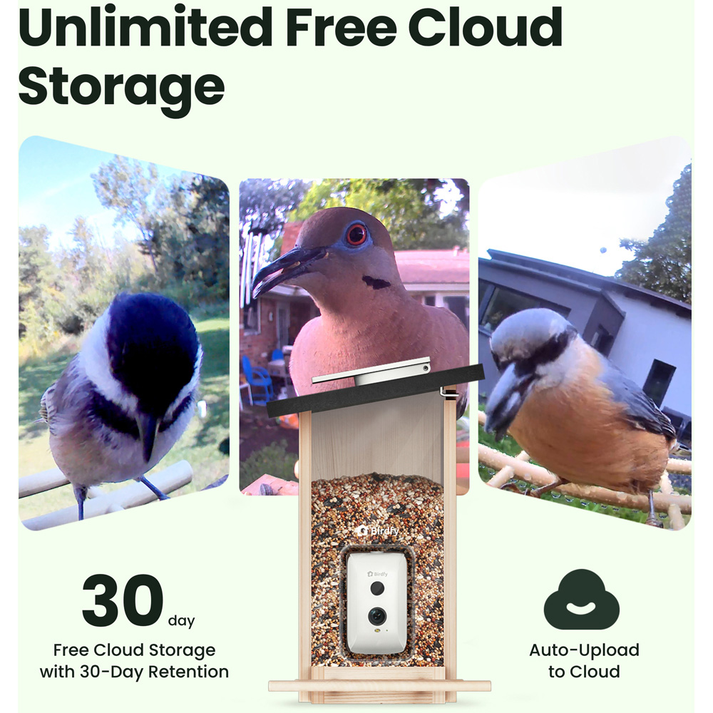 Birdfy Ebony Lite Wi-Fi Smart Solar Bird Feeder with 1080p FHD AI Camera Image 7