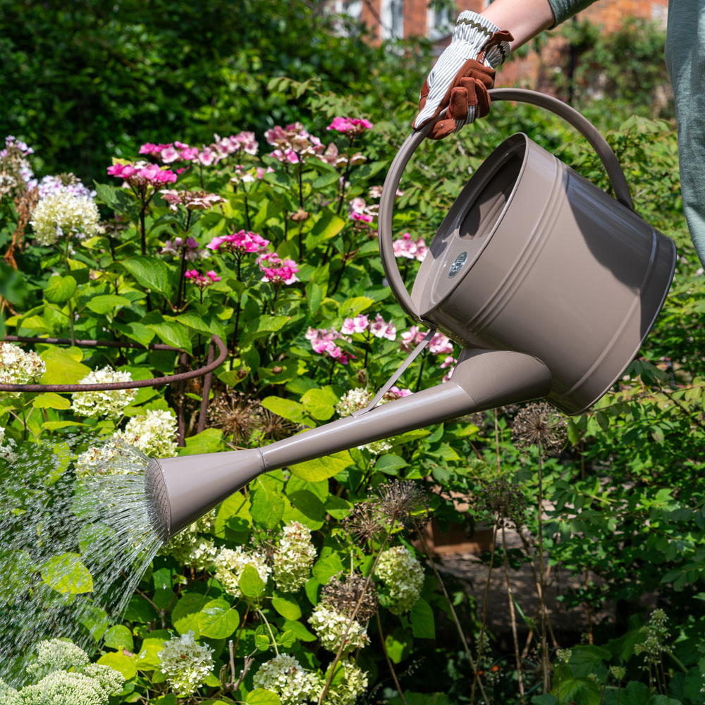 Burgon & Ball Truffle Galvanised Steel Waterfall Watering Can with Removeable Rose 9L Image 7