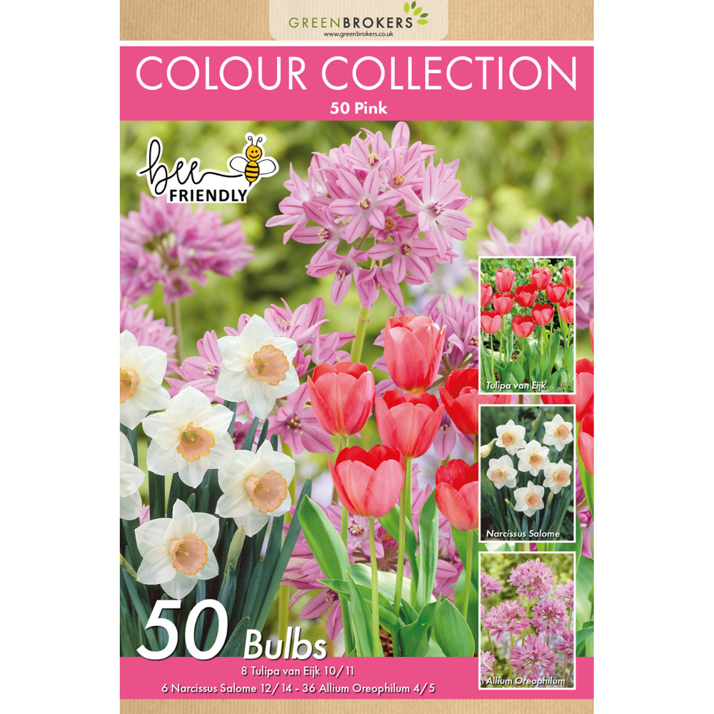 GreenBrokers Dutch Pink Colour Bee Friendly Mixed Collection Planting Bulb 50 Pack Image 2