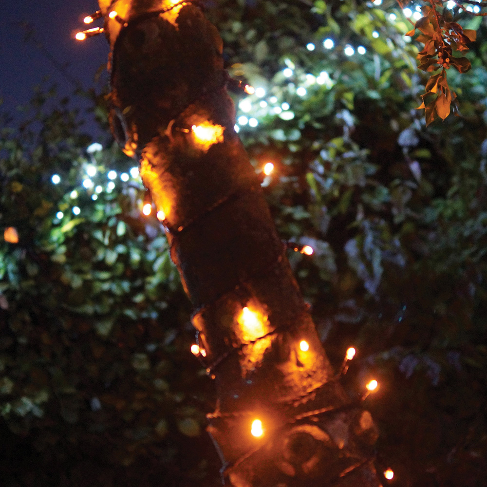 Eagle Connect Gold LED Black String Light 90m Image 3