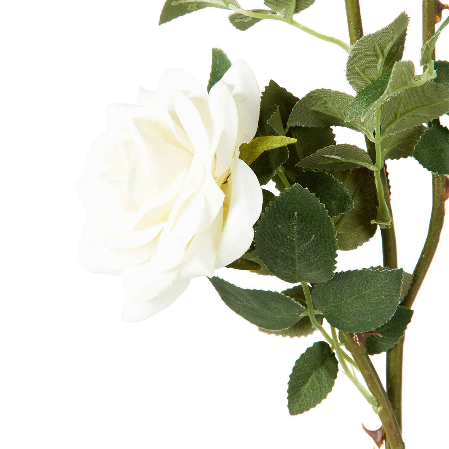 Assorted Supreme Rose Stem - White or Ivory Image 4