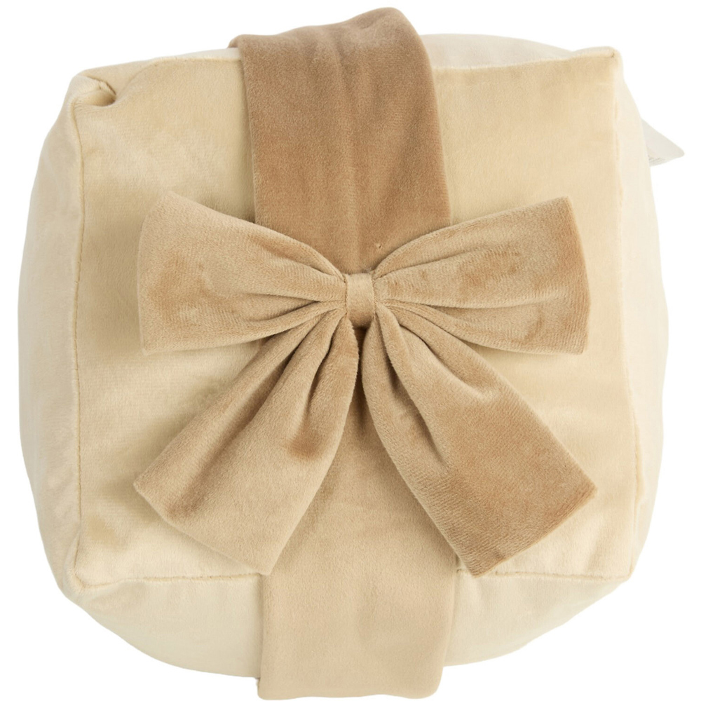 Present Shape Cushion Image 9
